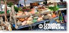 Campo de' Fiori y el Gueto